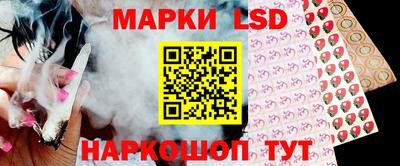 шишки Дубна