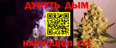 шишки Дубна