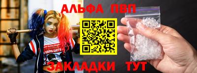 шишки Дубна