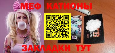 шишки Дубна